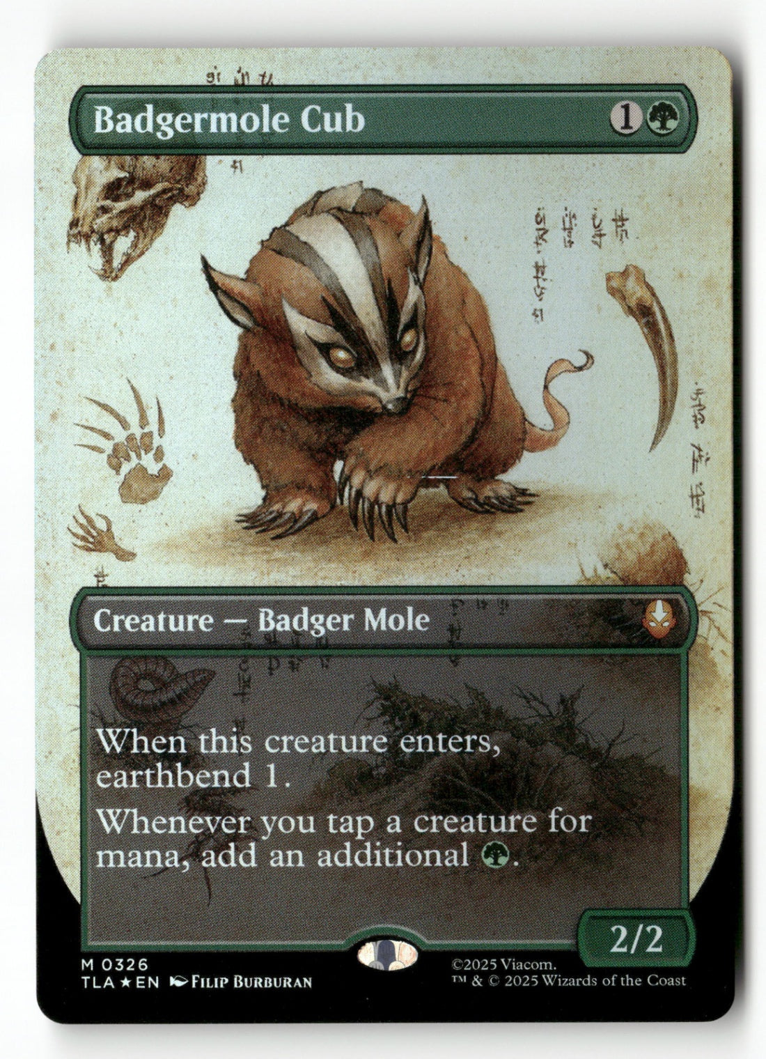 Badgermole Cub クリーチャーカード MTG 英語 Foil MTG Avatar: The Last Airbender 326 Badgermole Cub (Borderless) Foil