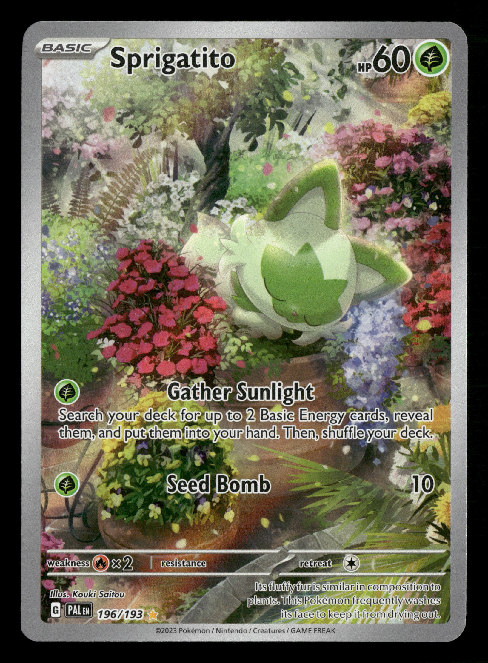 Mint Collectables