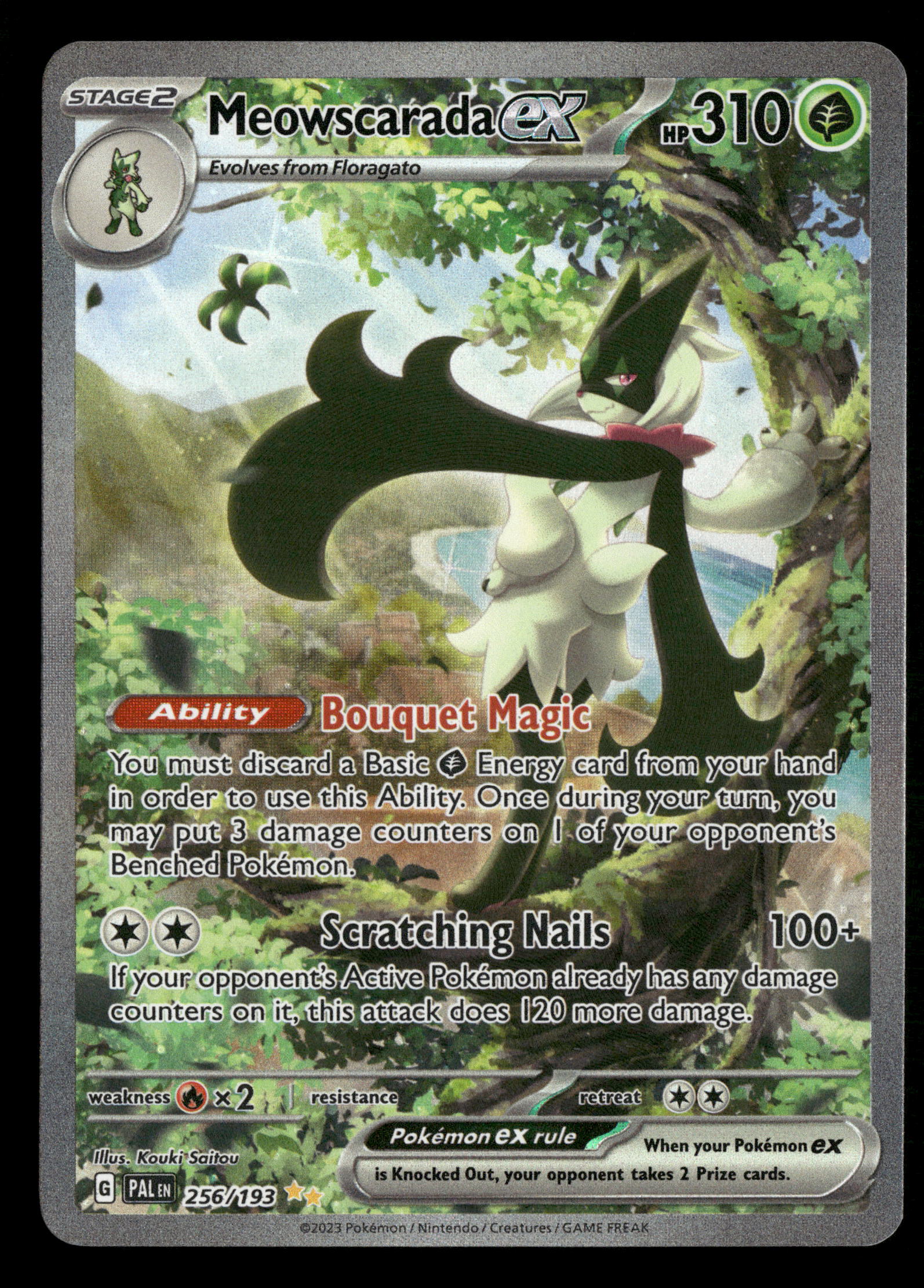 Mint Collectables