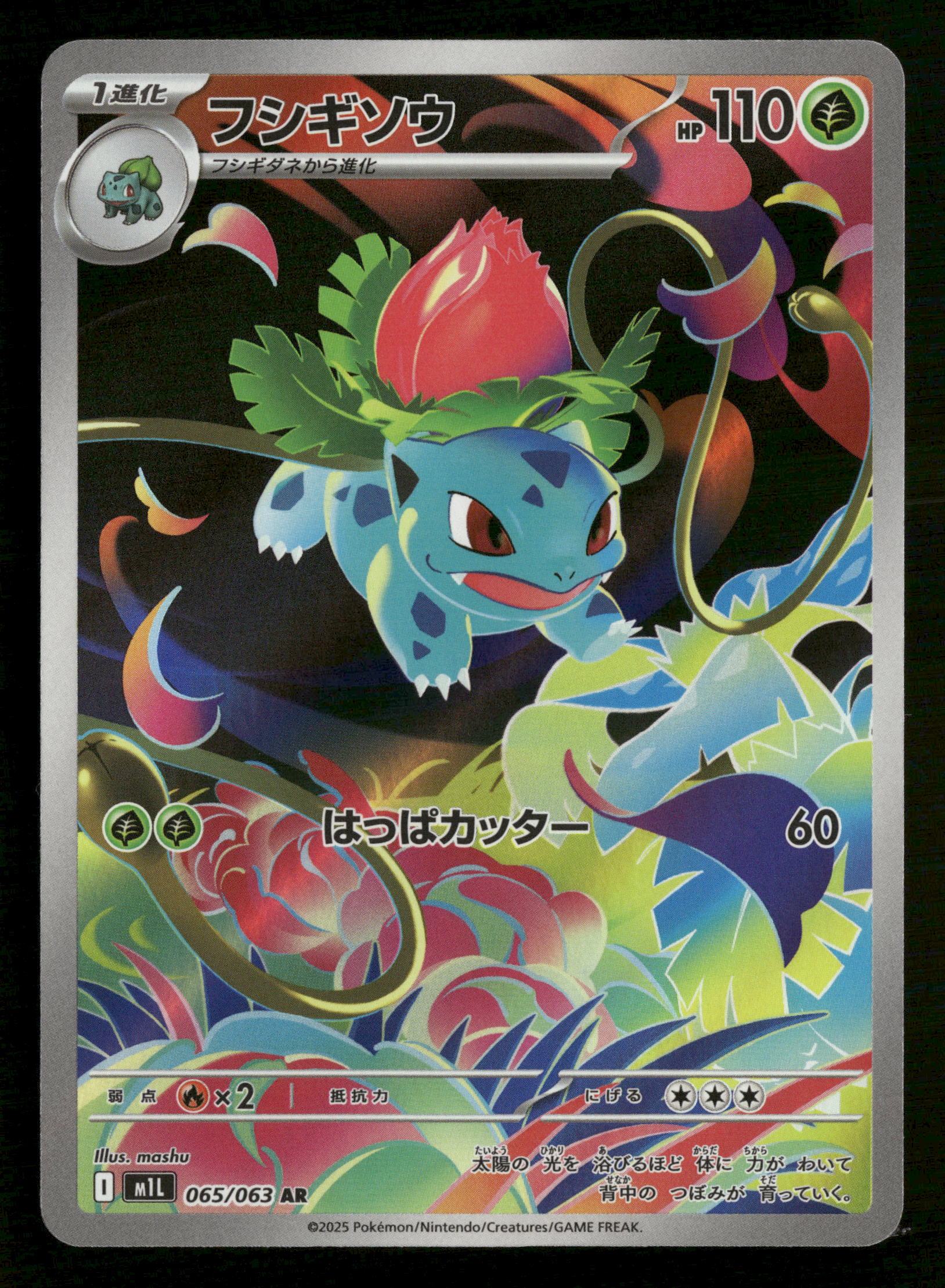 ポケモンカードゲーム 2025 POKEMON MTL JP IVYSAUR ART RARE PSA 10 Ivysaur AR 065/063 Mega Brave M1L Pokemon Card Japanese