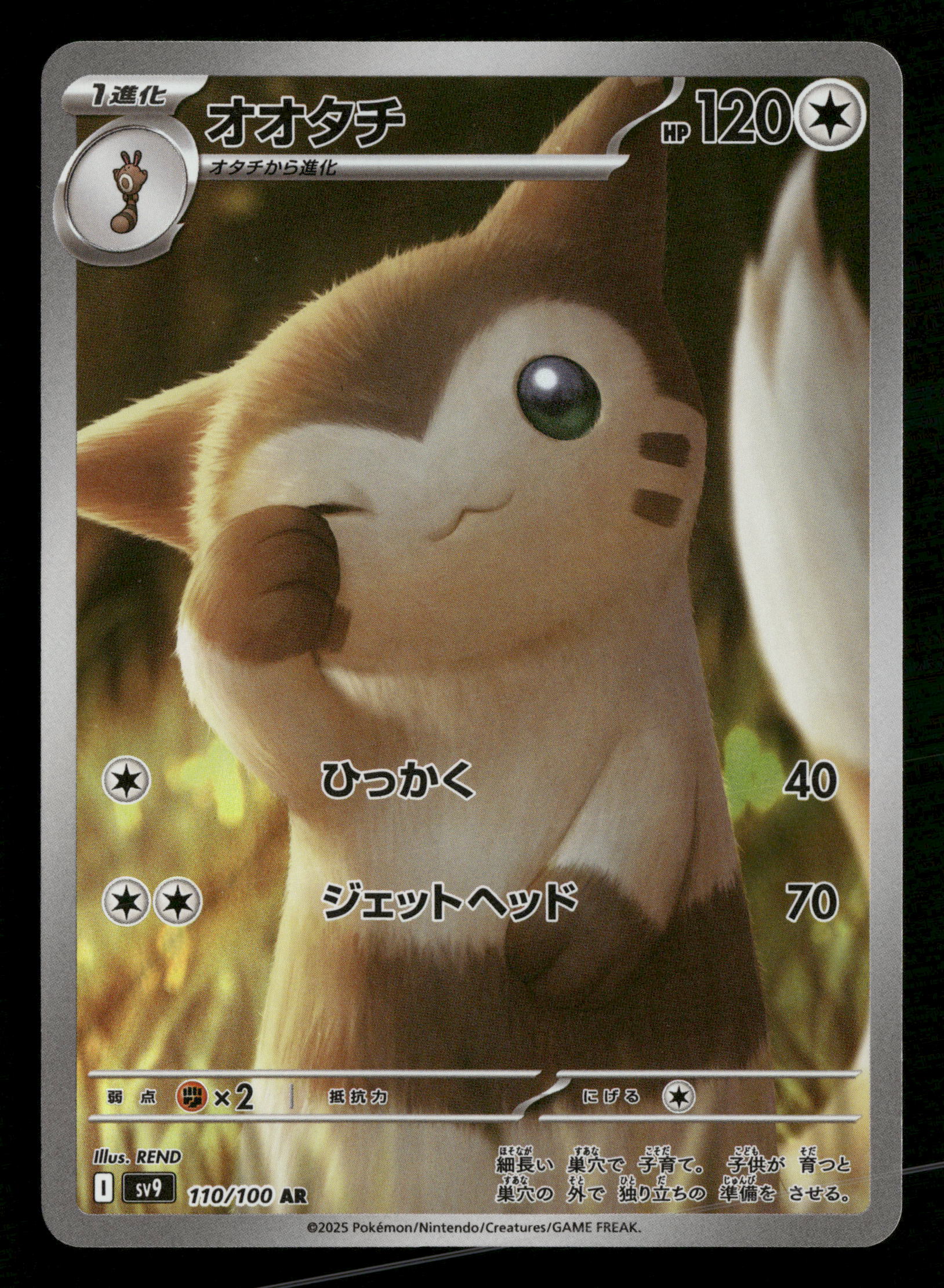 furret full art pokemon card 2025 Pokemon Japanese sv9 Battle Partners 110/100 Furret Art Rare