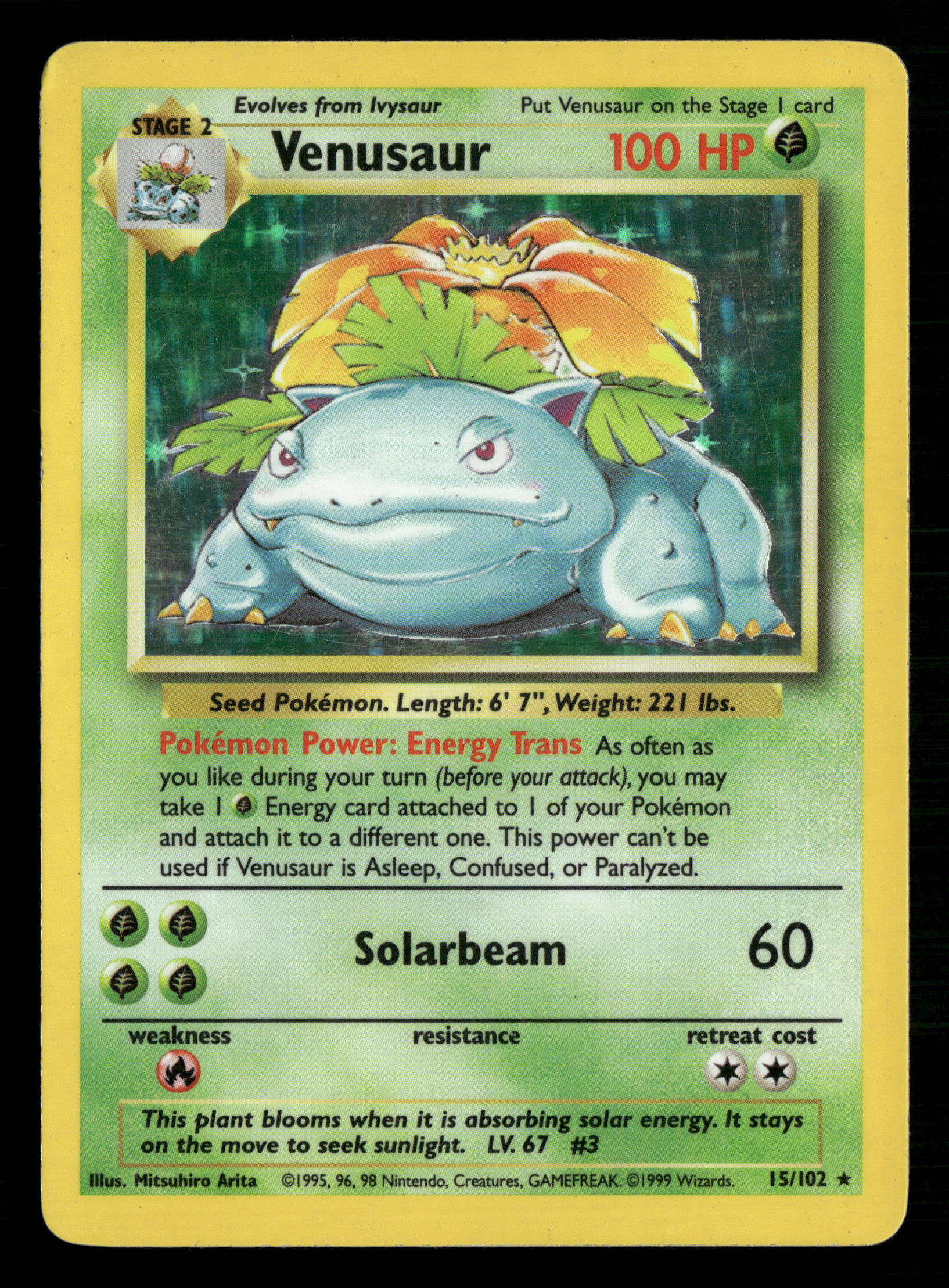 Mint Collectables