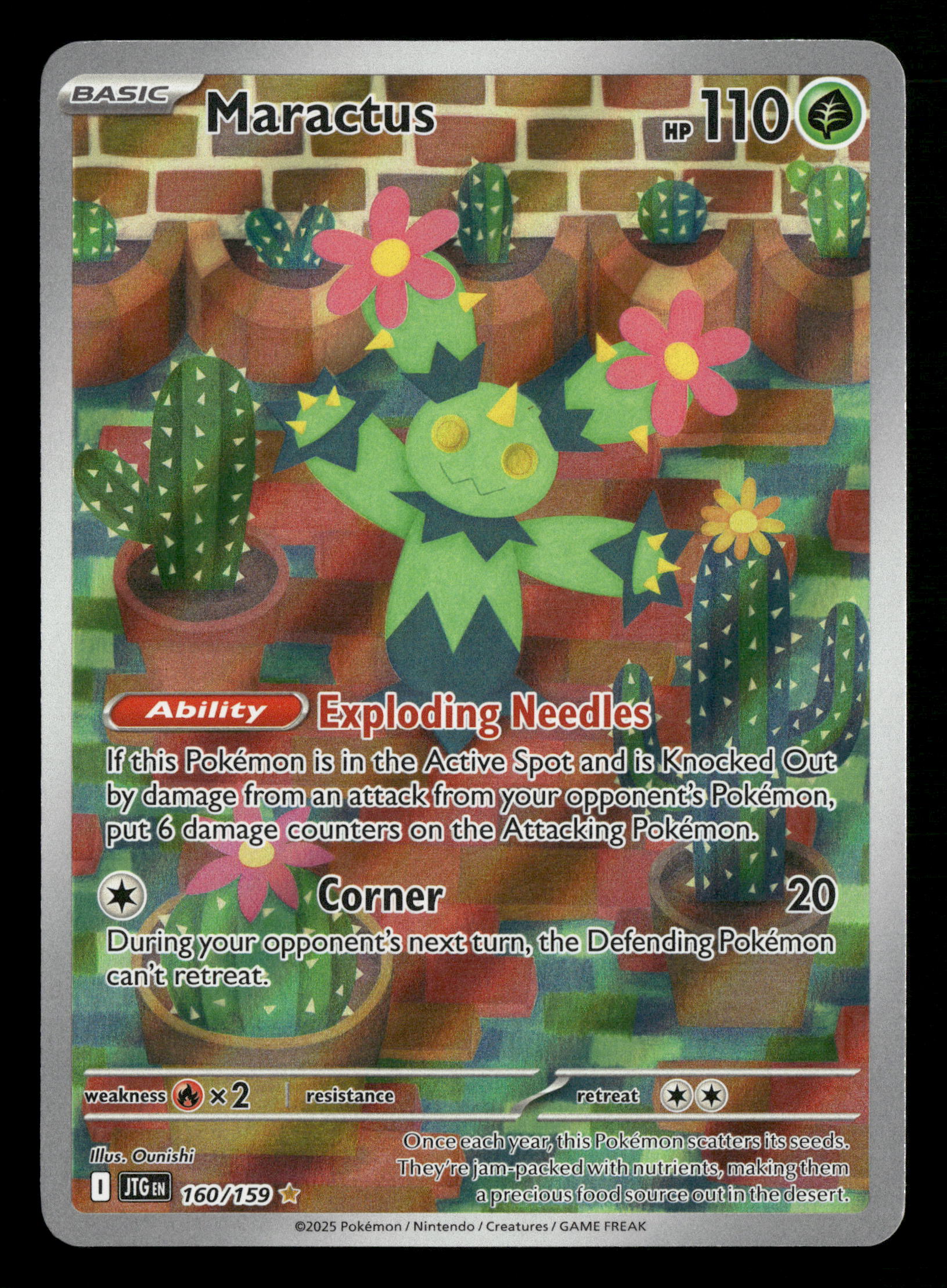 Mint Collectables