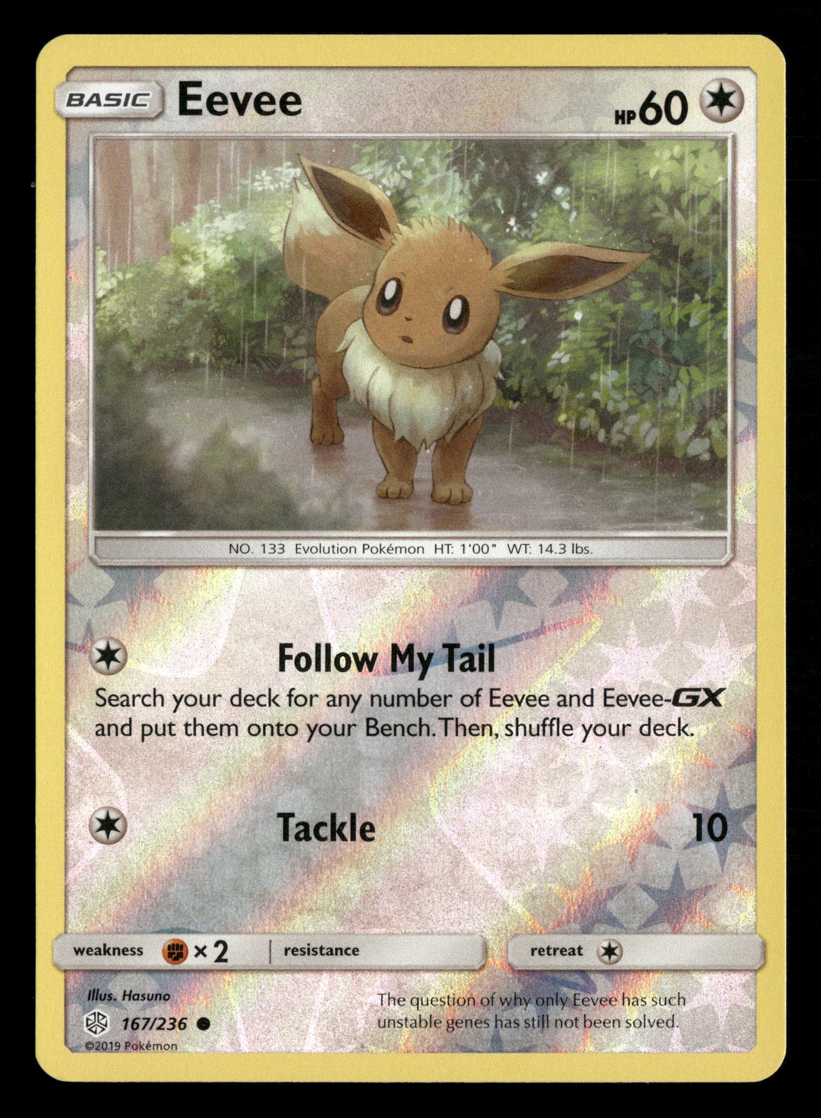 Mint Collectables