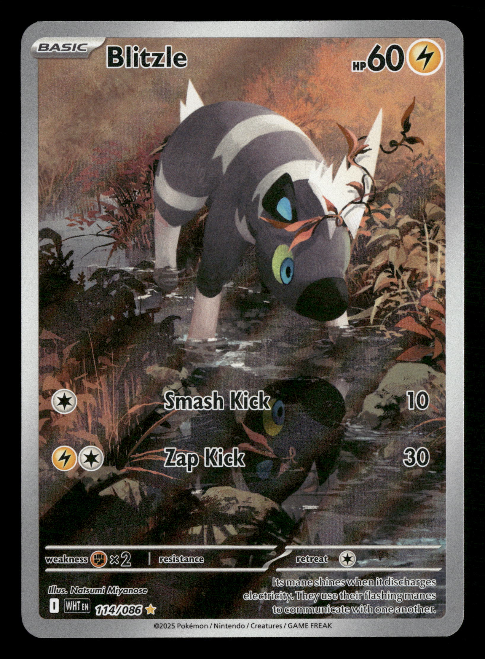 2025 Pokemon White Flare 114/086 Blitzle Illustration Rare 2025 Pokemon White Flare 114/086 Blitzle Illustration Rare