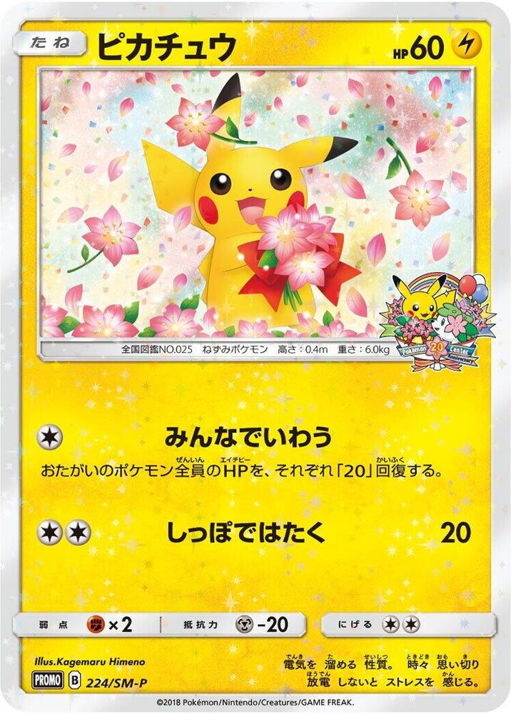 Pikachu 224 SM P 224/SM-P (SM-P: Sun & Moon Promos) 