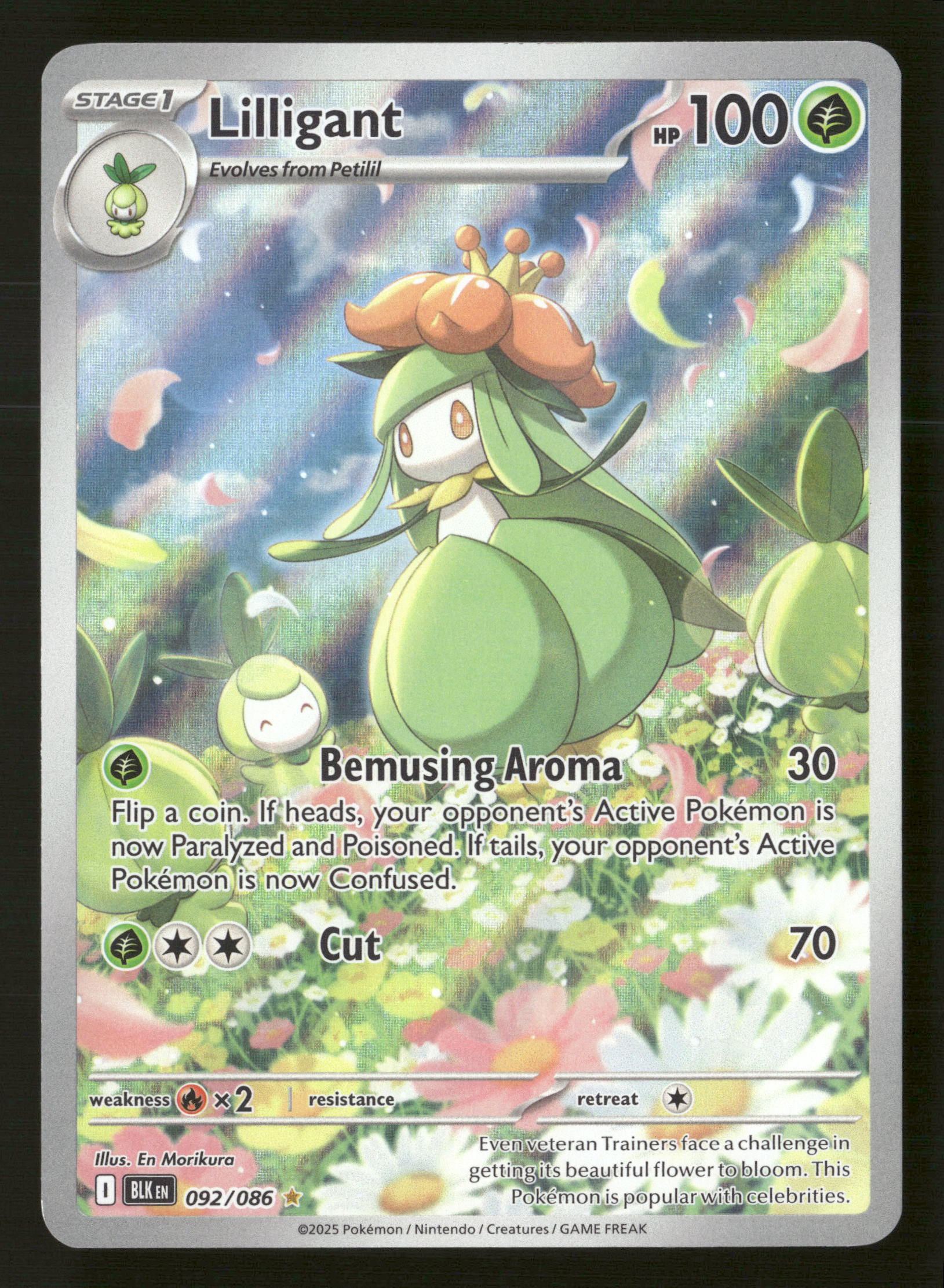 Pokemon SV: Black Bolt  092/086 Lilligant Illustration Rare NM