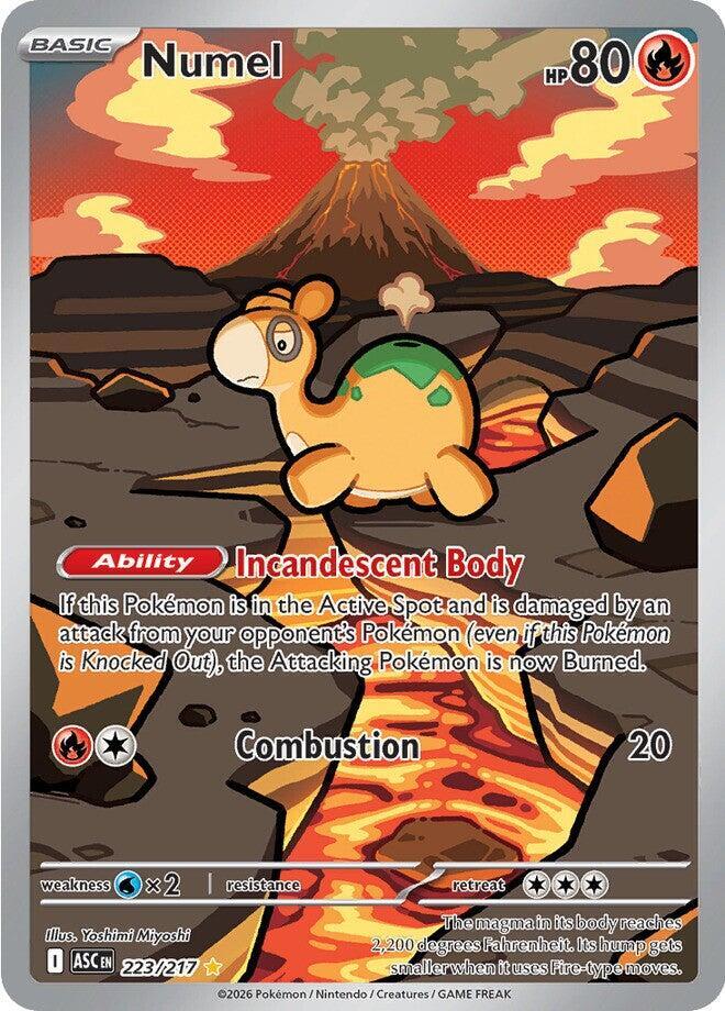 Numel 223/217 (ME: Ascended Heroes)  - Holofoil