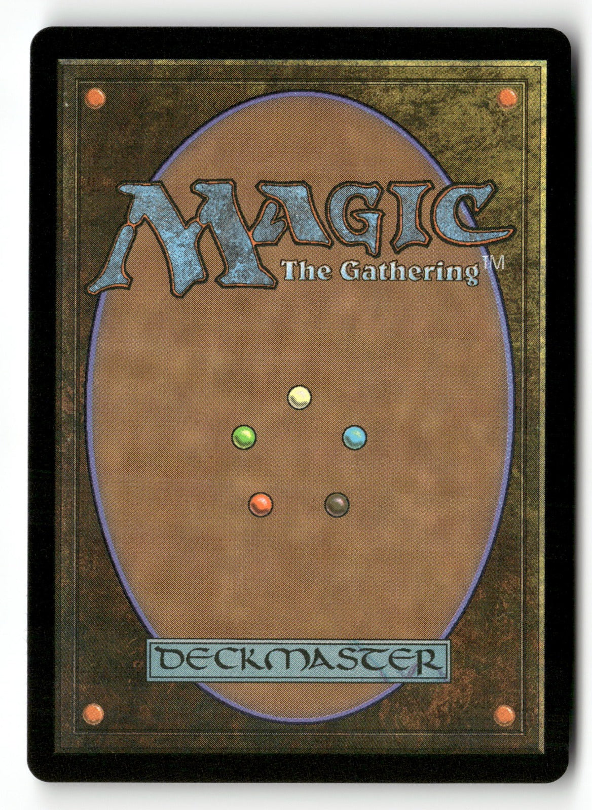 MTG FF: 477 Wakka, Devoted Guardian (Borderless) (Chocobo Track Foil)  (Back)
