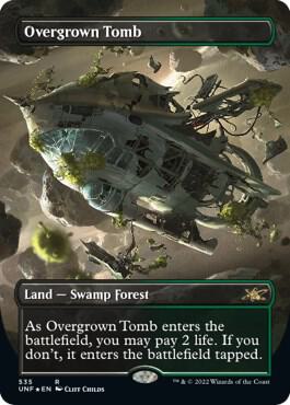 Overgrown Tomb Borderless Galaxy Foil 535/244 (Unfinity)  - Foil