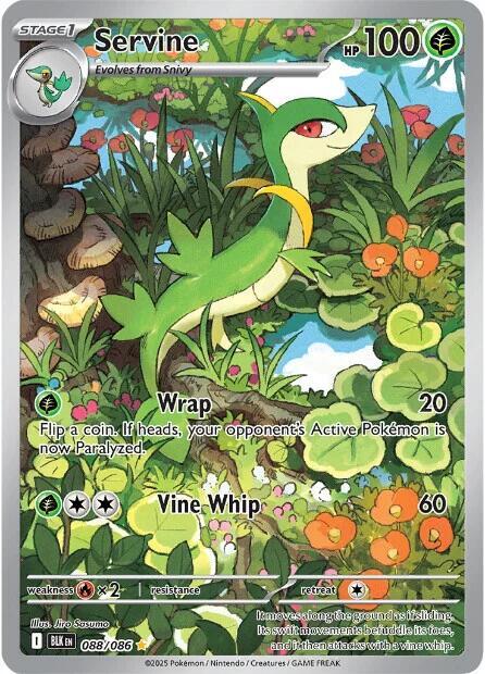 Servine 088/086 (SV: Black Bolt)  - Holofoil
