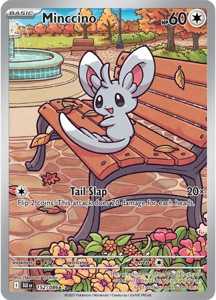 Minccino 152/086 (SV: Black Bolt)  - Holofoil