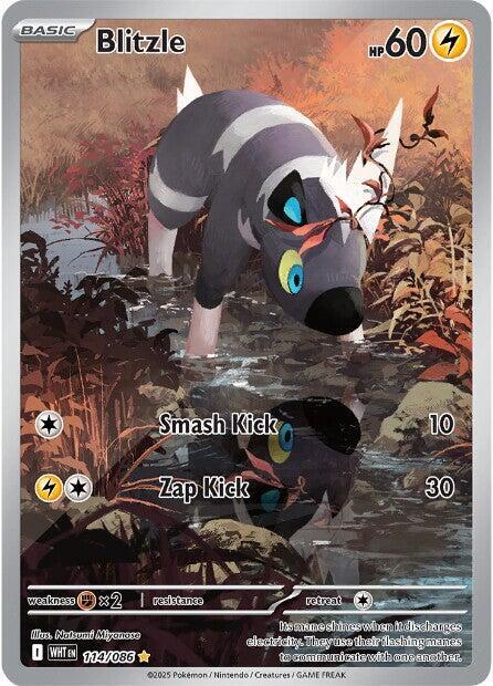 2025 Pokemon SV: White Flare Blitzle - 114/086 Illustration Rare