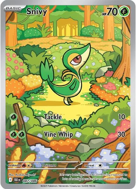 2025 Pokemon SV: Black Bolt Snivy - 087/086 Illustration Rare