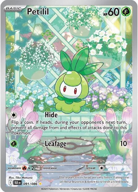 2025 Pokemon SV: Black Bolt Petilil - 091/086 Illustration Rare