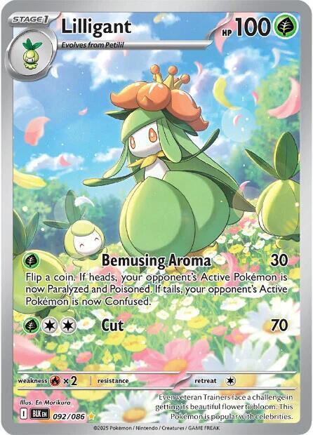 2025 Pokemon SV: Black Bolt Lilligant - 092/086 Illustration Rare