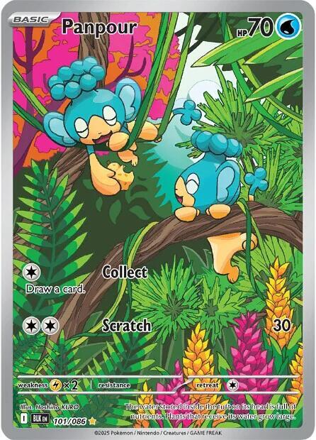2025 Pokemon SV: Black Bolt Panpour - 101/086 Illustration Rare