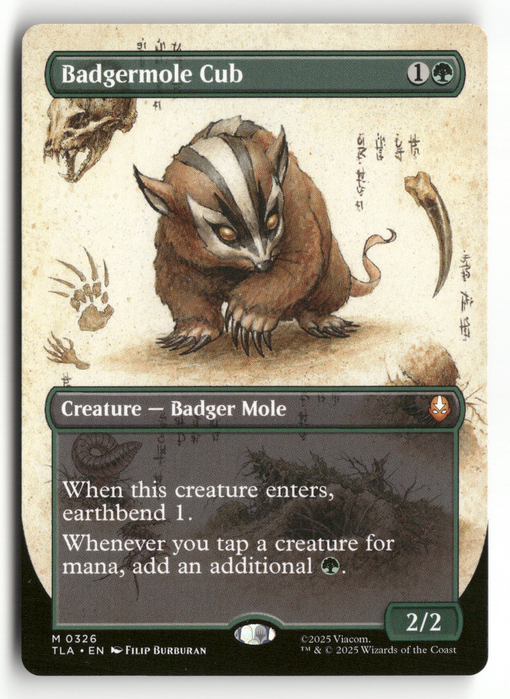 MTG Avatar: The Last Airbender 326 Badgermole Cub (Borderless) M NM
