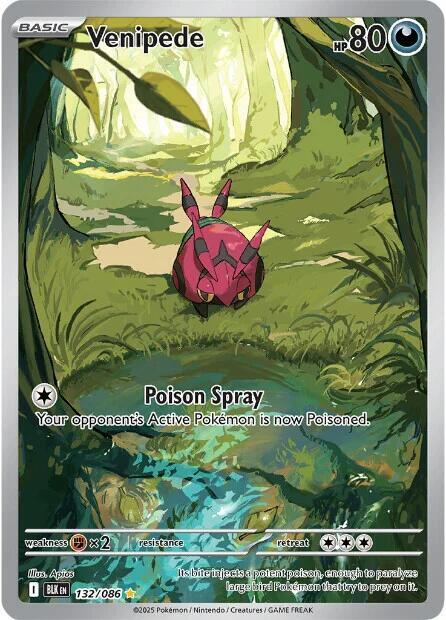Venipede 132/086 (SV: Black Bolt)  - Holofoil