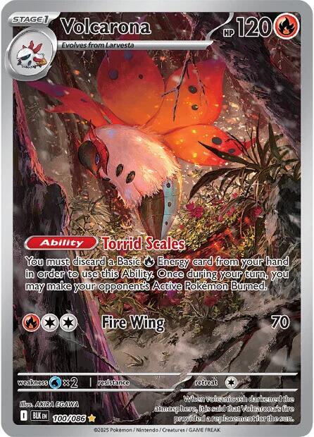 Volcarona 100/086 (SV: Black Bolt)  - Holofoil