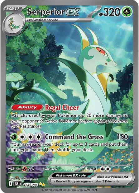 Serperior ex 164/086 (SV: Black Bolt)  - Holofoil