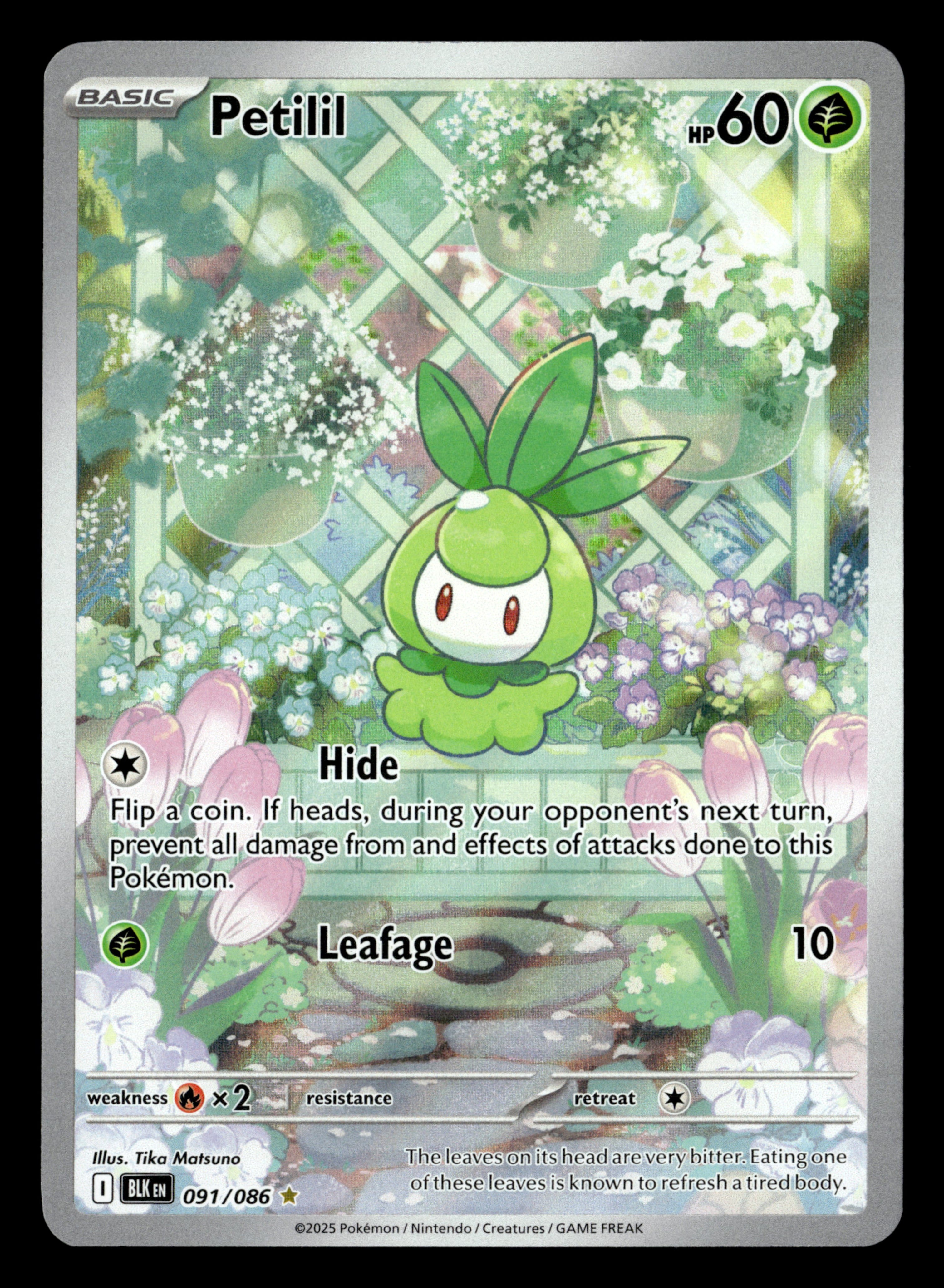 2025 Pokemon 091/086 Petilil Illustration Rare